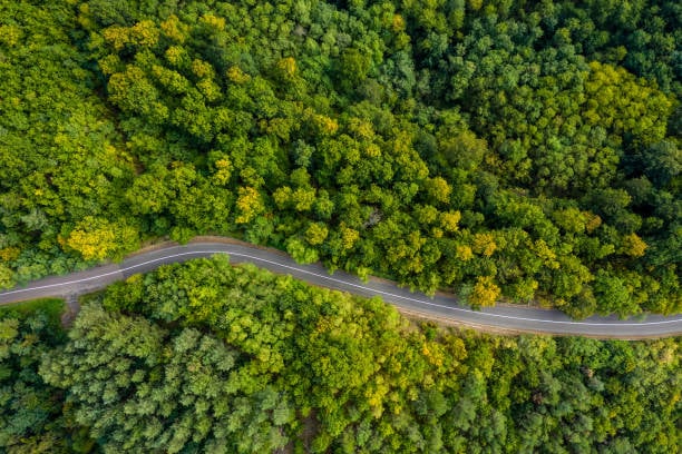 istockphoto-1180192150-612x612 istockphoto-1180192150-612x612