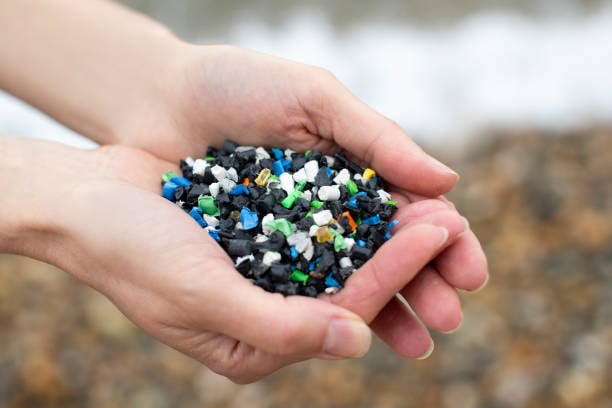 istockphoto-1266984285-612x612 istockphoto-1266984285-612x612